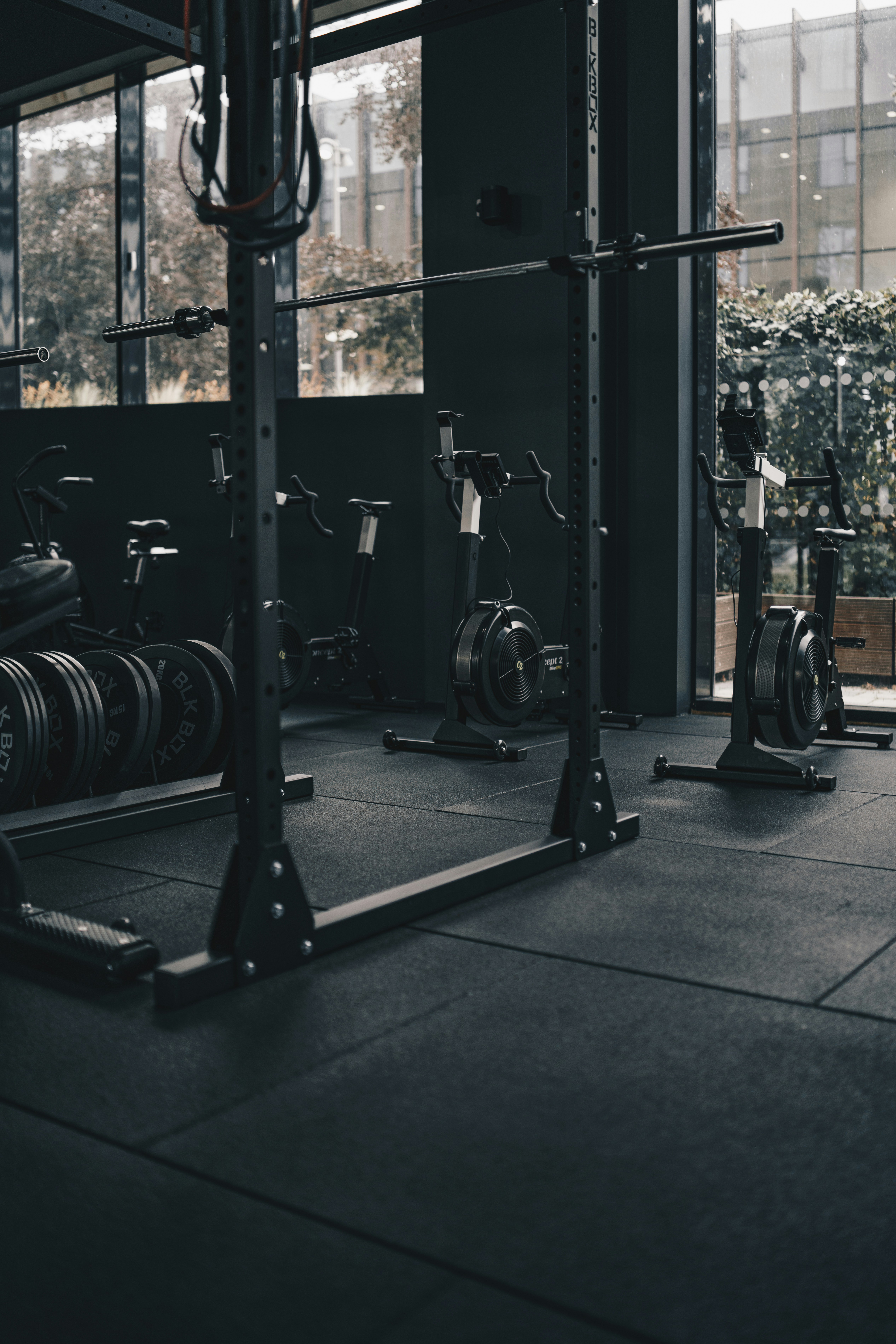 Workout Session