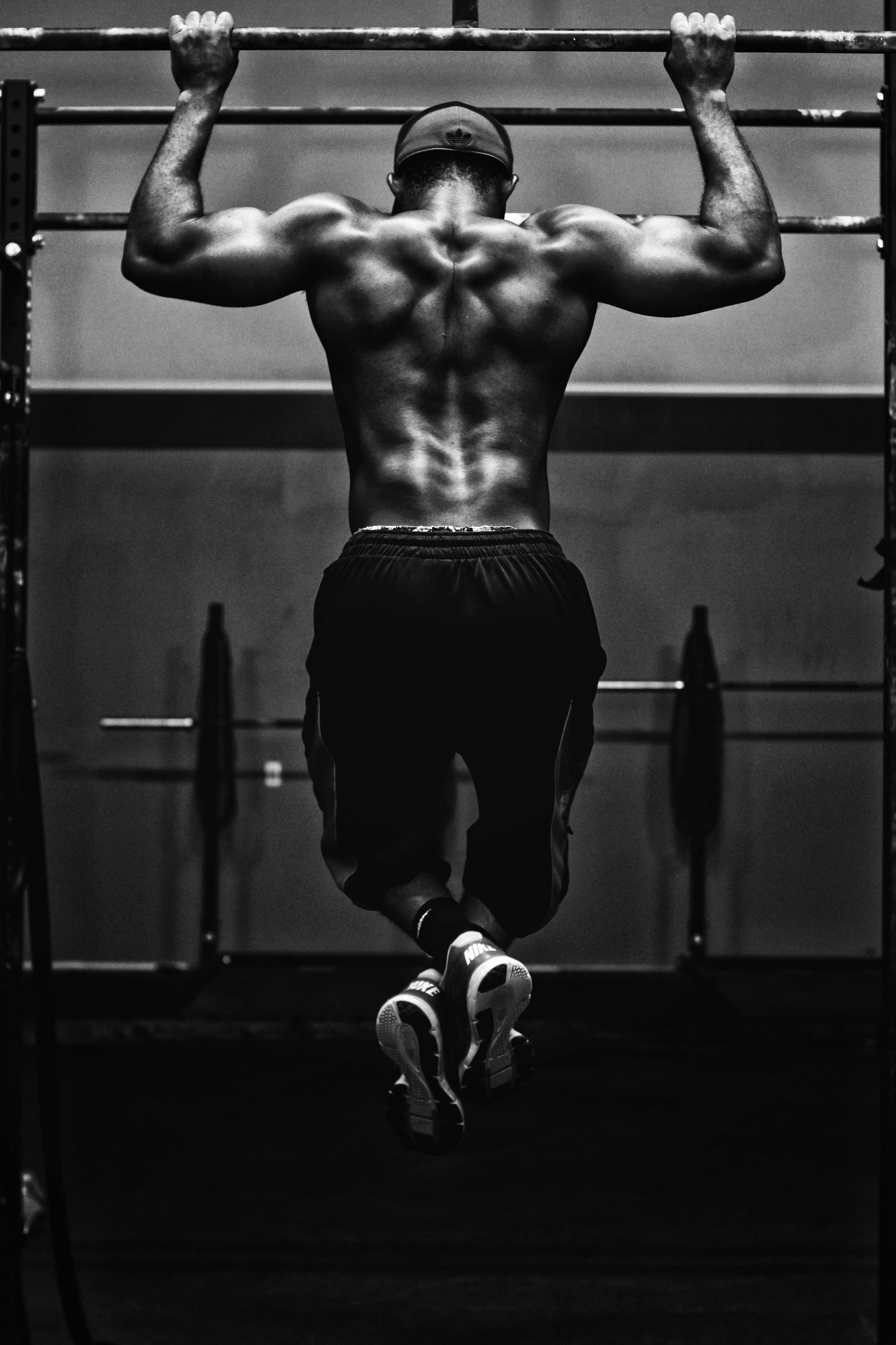 Free Weight Zone